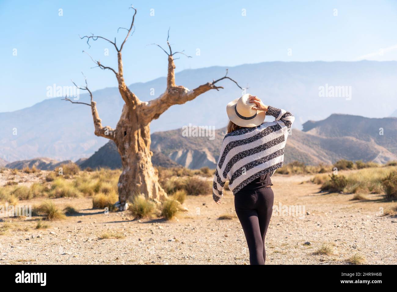 Junge Wanderin besucht den Baum des Unglücks in der Wüste von Tabernas, Almera, Andalusien Stockfoto