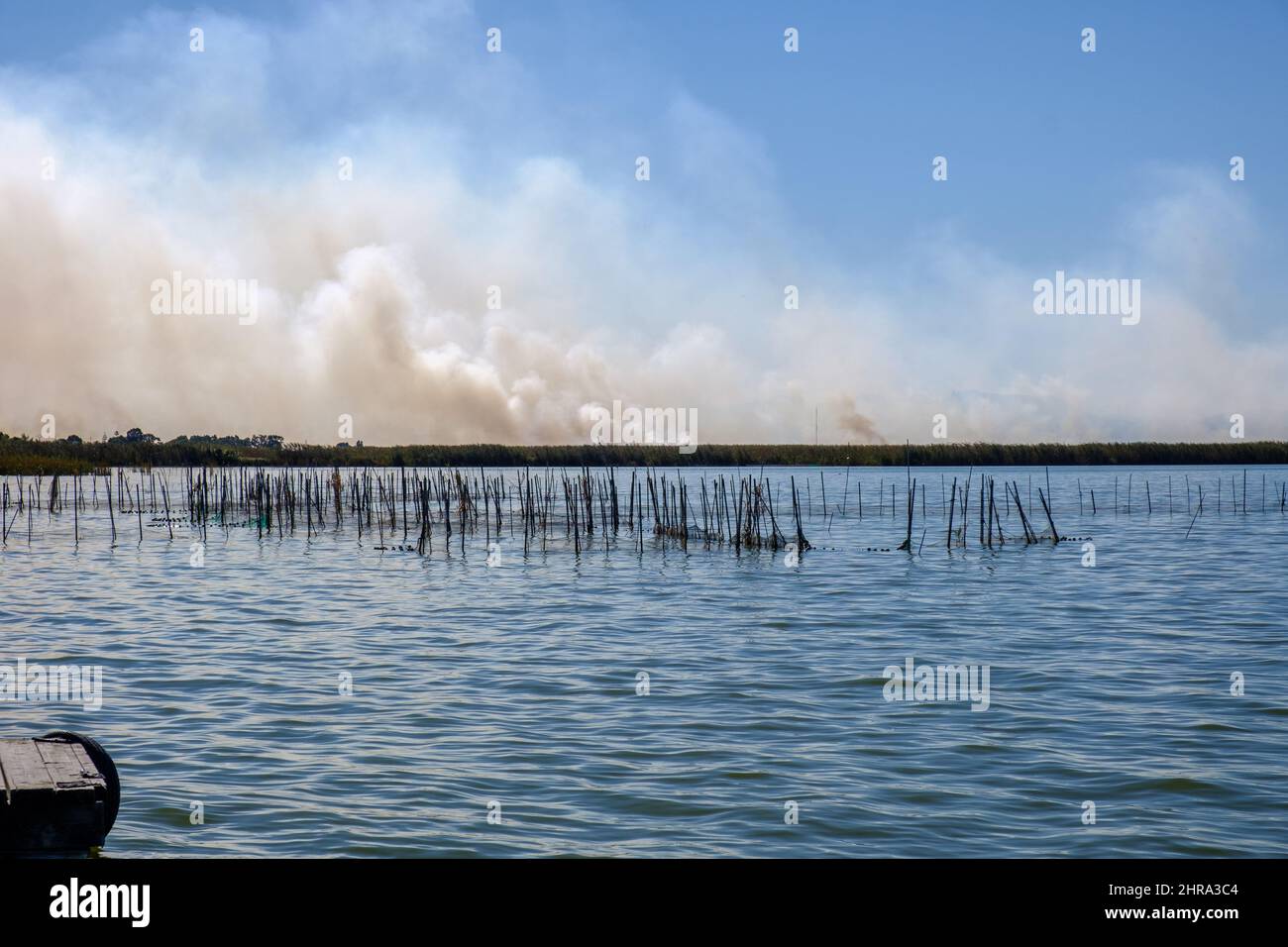 Brennen von Reisstoppeln brennendes Stroh in Reisbauern in Albufera Valencia Spanien, Umweltverschmutzung Umweltproblem, dunkle Himmelswolken Stockfoto