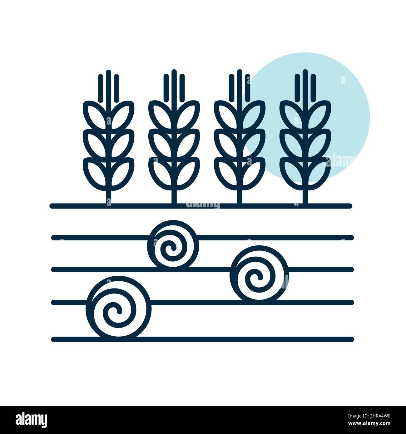 Ähren von Weizen, Gerste oder Roggen auf dem Feld und runde Heuballen isoliert Symbol. Zeichen Landwirtschaft. Graph-Symbol für Ihr Website-Design, Logo, App, UI. Vecto Stock Vektor