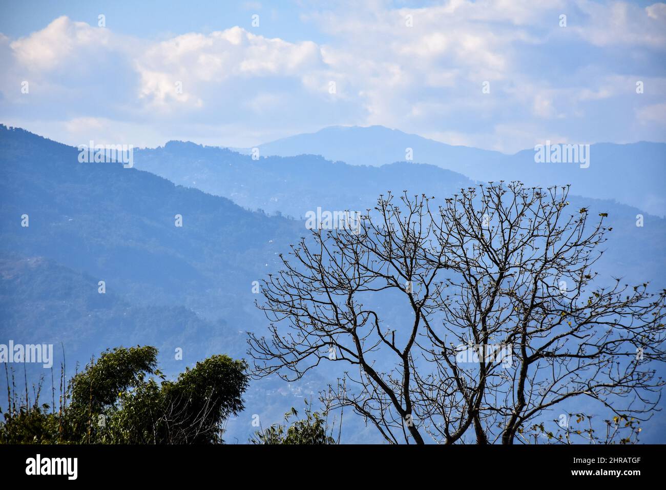 Malerische himalaya-Bergrücken mit Wolke und Silberbirke im Hintergrund Stockfoto