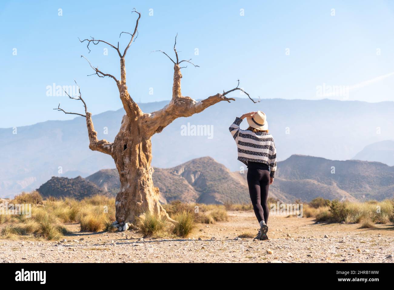 Junge Wanderin besucht den Baum des Unglücks in der Wüste von Tabernas, Almera, Andalusien Stockfoto