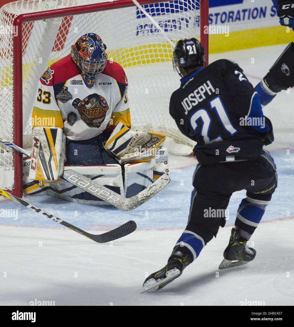 Saint John Sea Dogs der rechte Flügel Mathieu Joseph schießt am Montag, 22. Mai 2017, auf den Erie Otters-Torwart Troy Timpano während der dritten Periode des Memorial Cups in Windsor, Ontario. DIE KANADISCHE PRESSE/Adrian Wyld Stockfoto