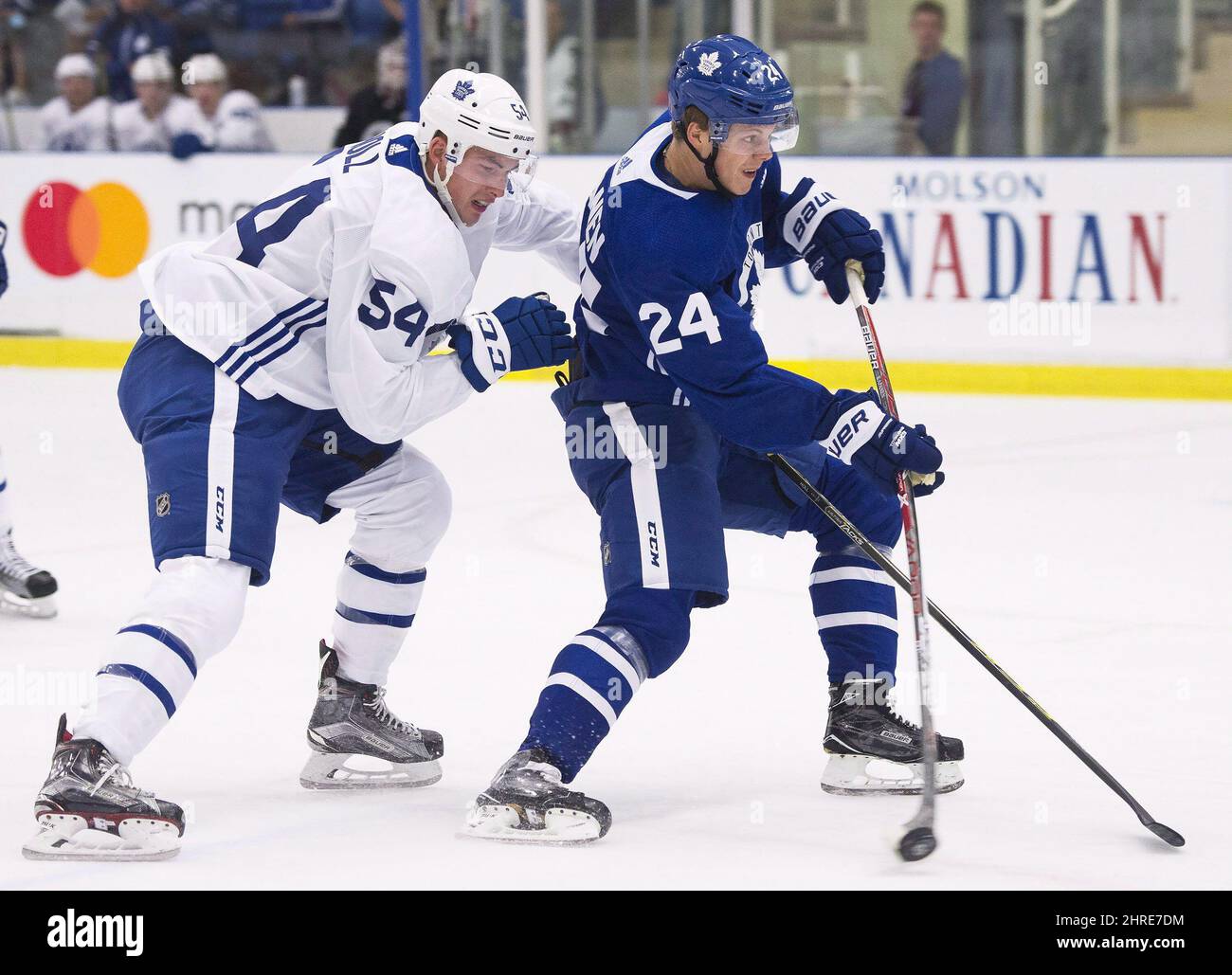 Toronto Maple Leafs vorwärts Kasperi Kapanen, rechts, Kämpfe für den Puck gegen Maple Leafs Verteidiger Justin Holl, links, während NHL Trainingslager Aktion in Niagara Falls, Ont. Am Freitag, 15. September 2017. Ohne drei ihrer Stammgäste auf der blauen Linie erinnerten sich die Leafs notfalls an Holl von der Toronto Marlies der American Hockey League, um sein NHL-Debüt gegen New York zu feiern.DIE KANADISCHE PRESSE/Nathan Denette Stockfoto