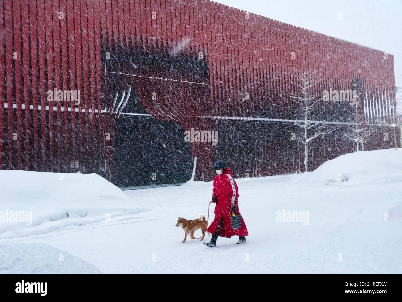 Frau, die mit Hund vor dem Nebuta Museum WA-RASSE, einem einzigartigen Gebäude mit roten Metalllatten, Aomori, Präfektur Aomori, Japan, läuft Stockfoto