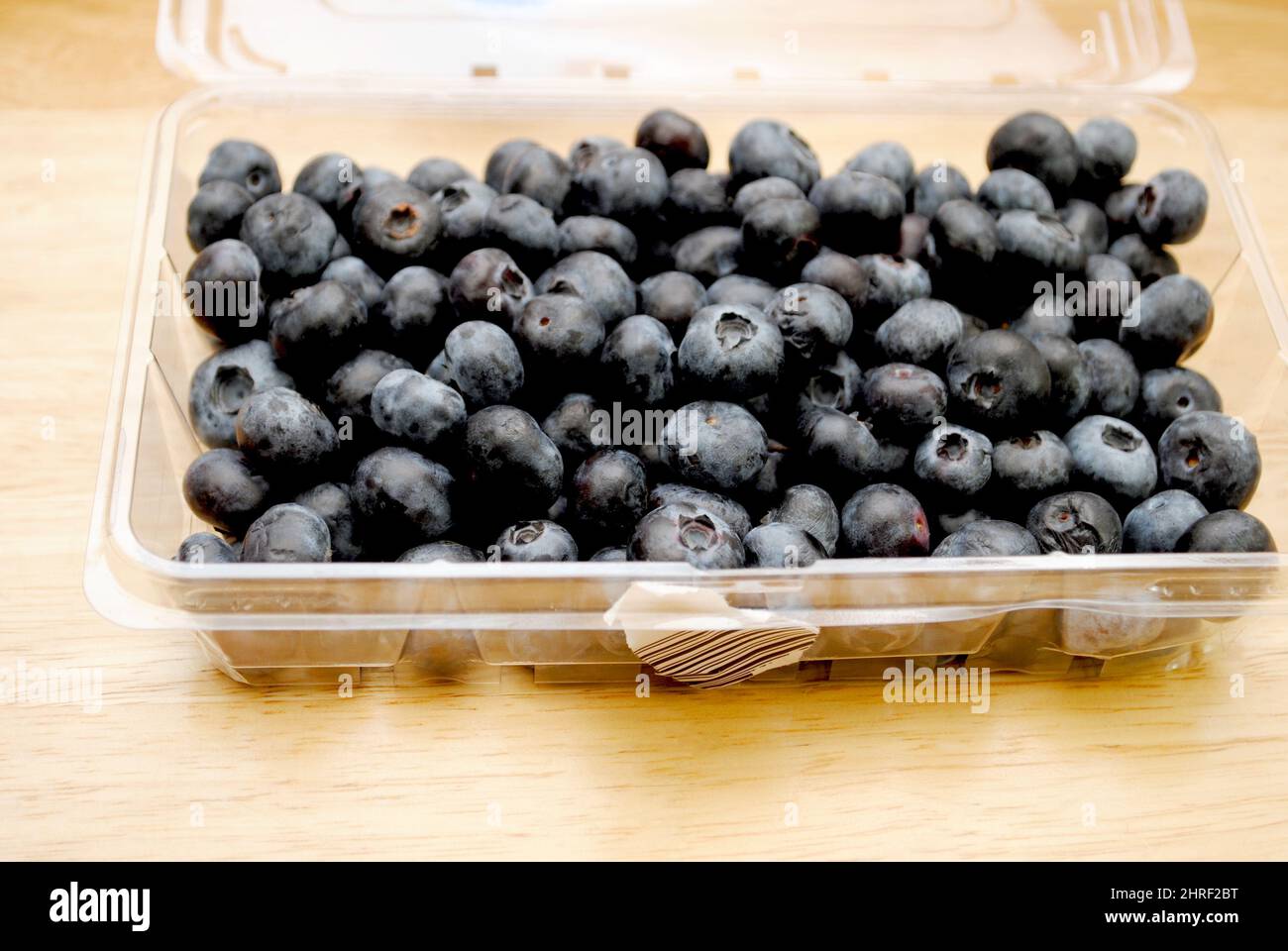 Frische ganz blaue Beeren in einem Plastikbehälter Stockfoto
