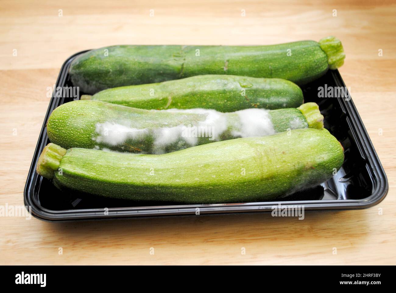 Schimmeliger Ekliger Grüner Zucchini-Squash Stockfoto
