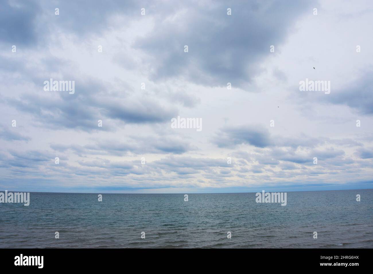 Kohler Andrae State Park im Spätherbst, Sheboygan, Wisconsin, USA. Stockfoto