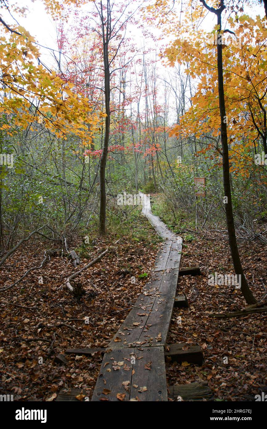 Lapham Peak Unit, Kettle Moraine State Park, Delafield, Wisconsin, USA. Stockfoto