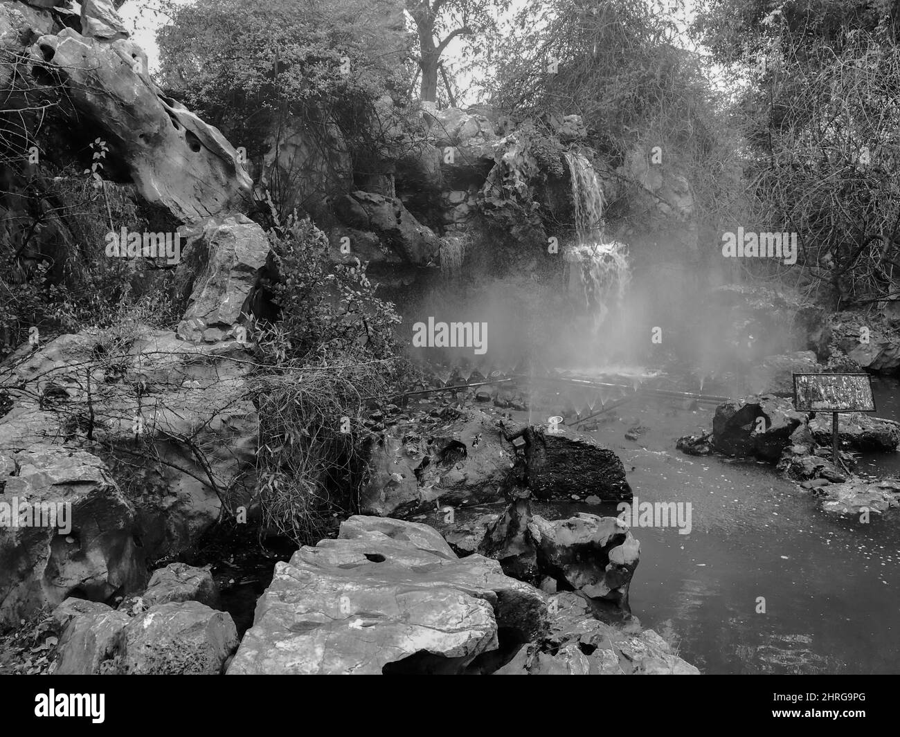 Graustufen schöne Aussicht auf Waldbäume, Wasserfall auf den Fluss mit riesigen Felsen Stockfoto