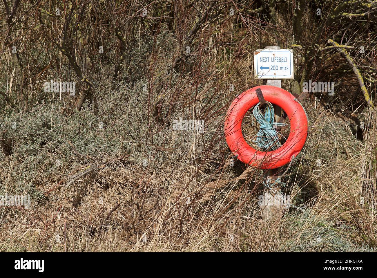 Rettungsring neben dem Wasser. Stockfoto