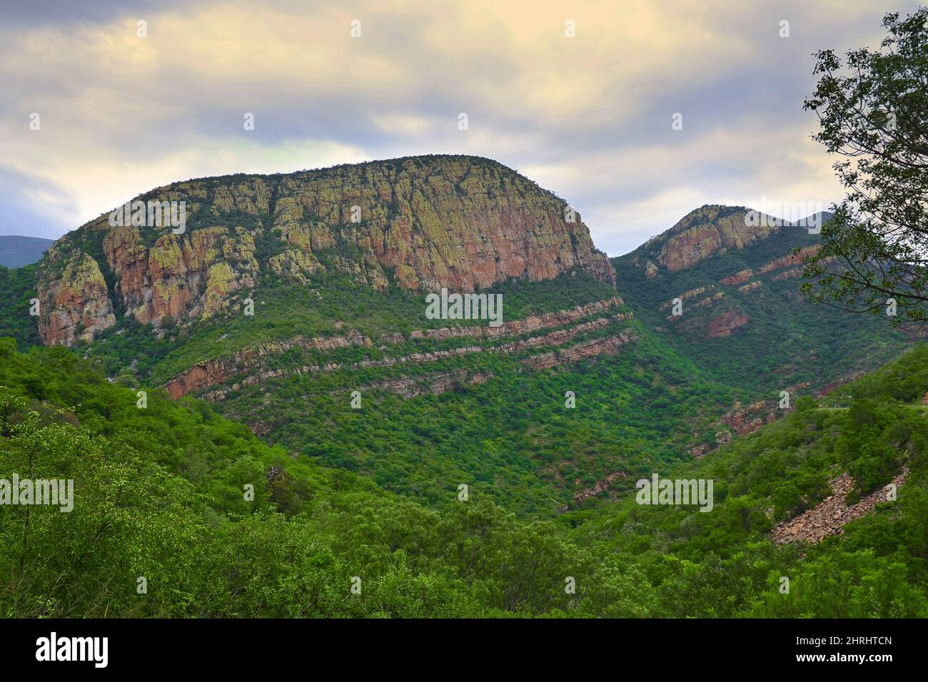 Berglandschaft in der Provinz Mpumalanga. Felsen sind mit Flechten befleckt, sichtbare Schichten, Südafrika Stockfoto