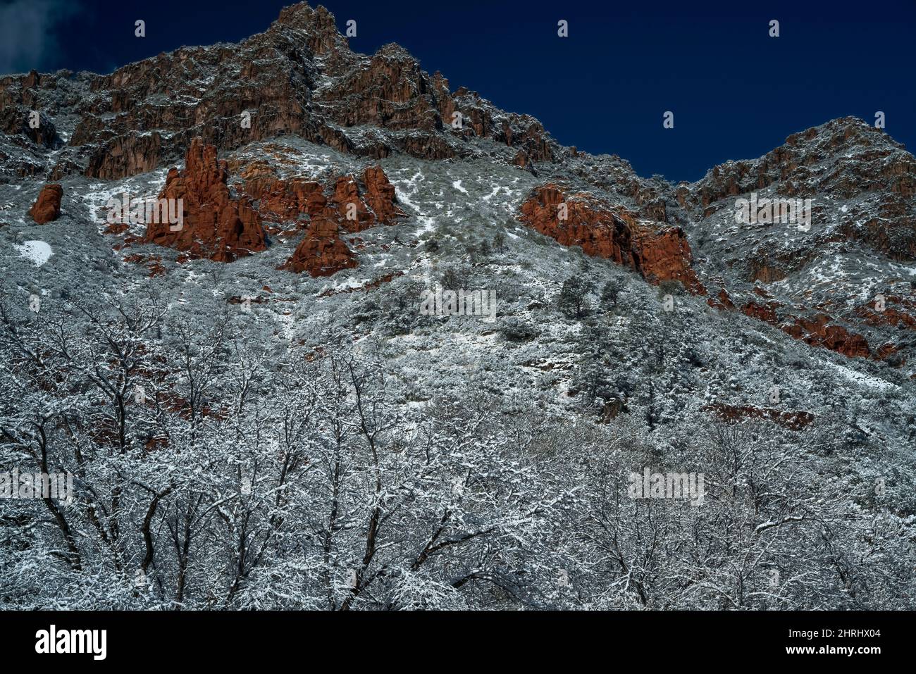 Der Schneefall über Nacht verwandelt die roten Felsen von Sedona in ein übertünschtes Winterwunderland der Schönheit. Stockfoto