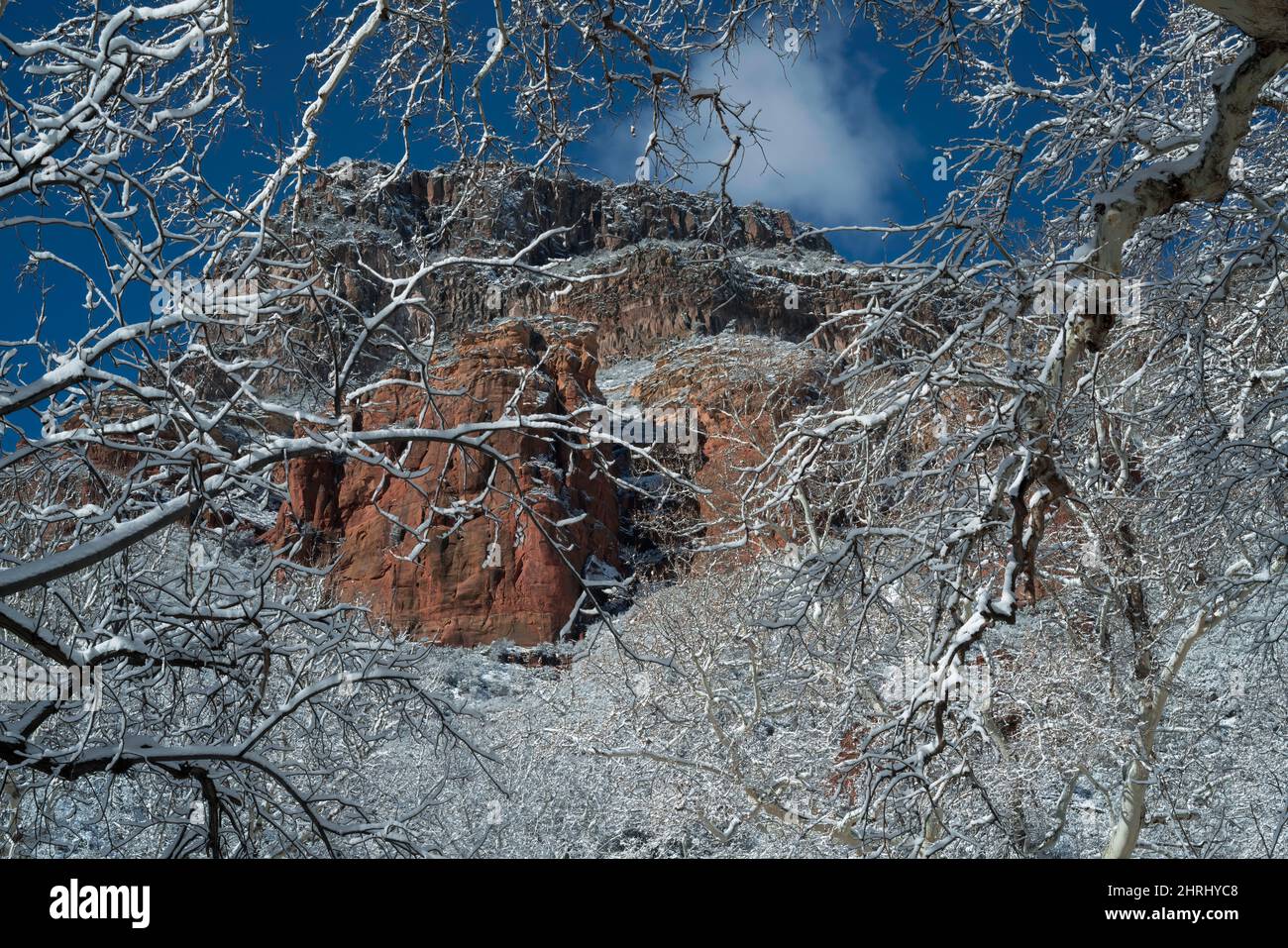 Der Schneefall über Nacht verwandelt die roten Felsen von Sedona in ein übertünschtes Winterwunderland der Schönheit. Stockfoto