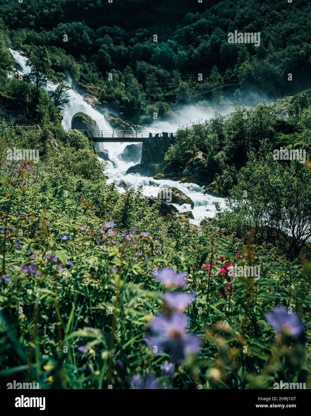 Vertikale Aufnahme eines Wasserfalls und eines Flusses mit einer