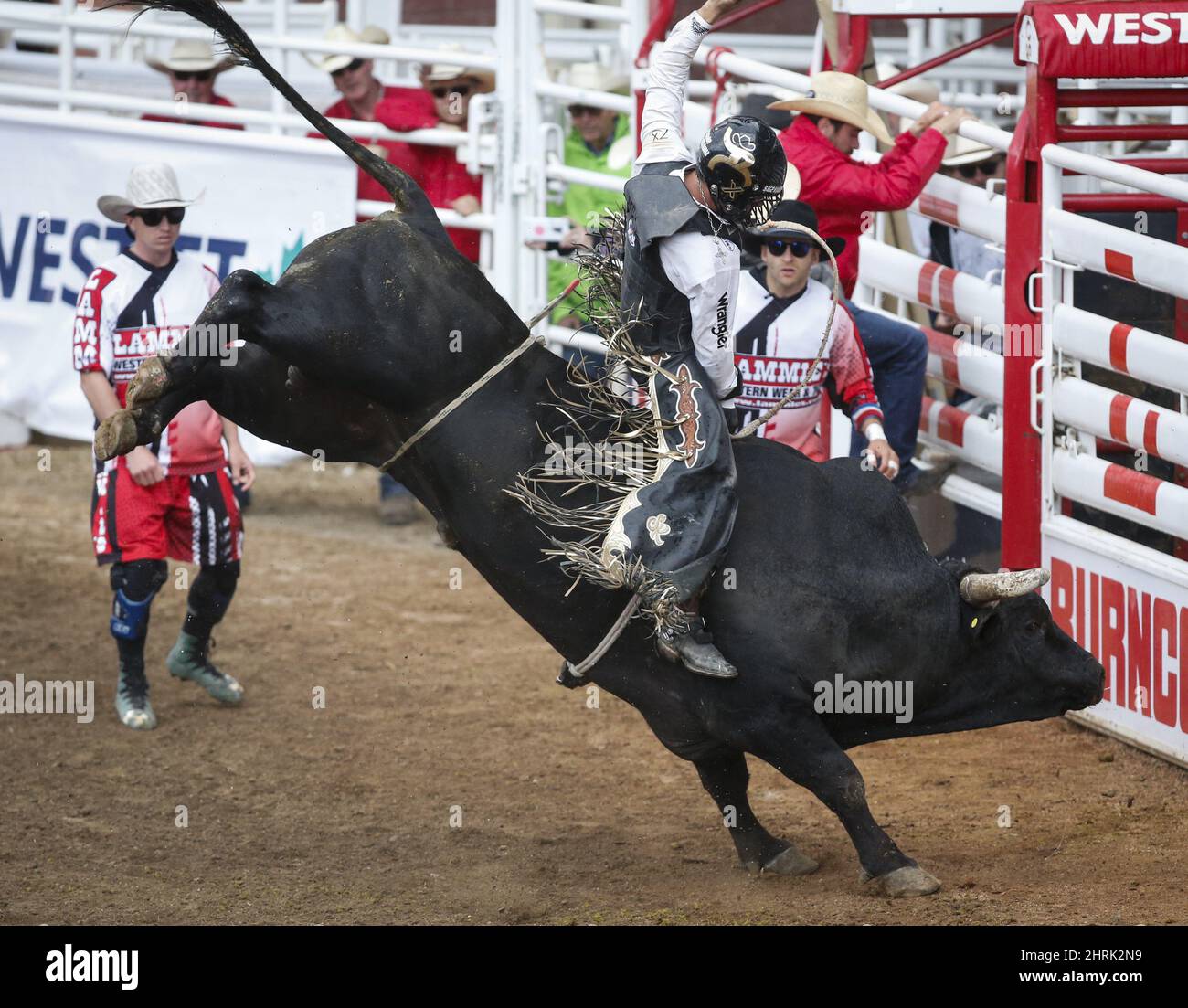 Sage Steele Kimzey aus Strong City, Okla., reitet Night Moves, um das Bullenreiten-Event während der Rodeo-Finalaktion bei der Calgary Stampede in Calgary am Sonntag, den 14. Juli 2019 zu gewinnen. DIE KANADISCHE PRESSE/Jeff McIntosh Stockfoto