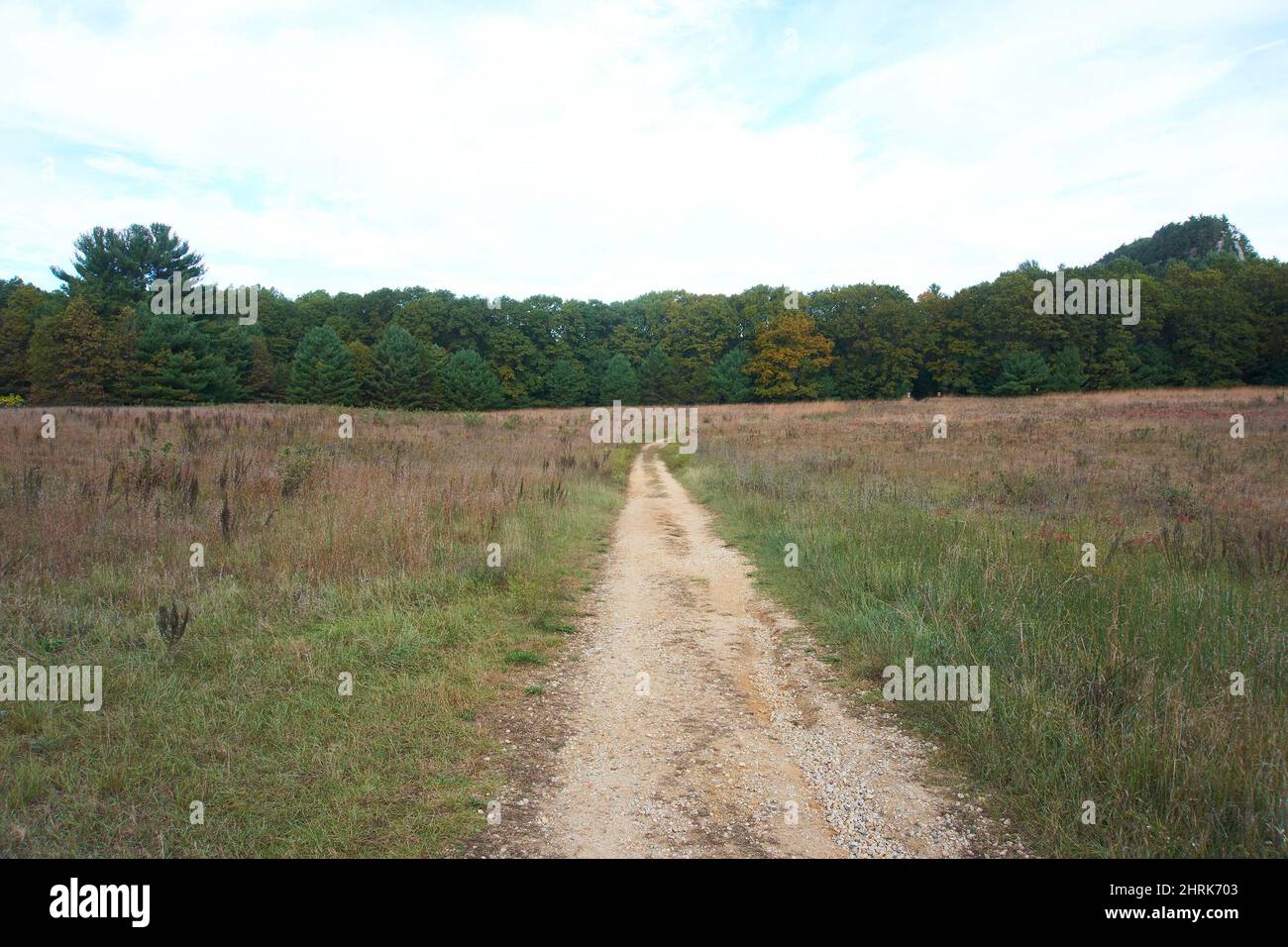 Roche Ist Ein CRI State Park in Friendship, Wisconsin, USA. Stockfoto