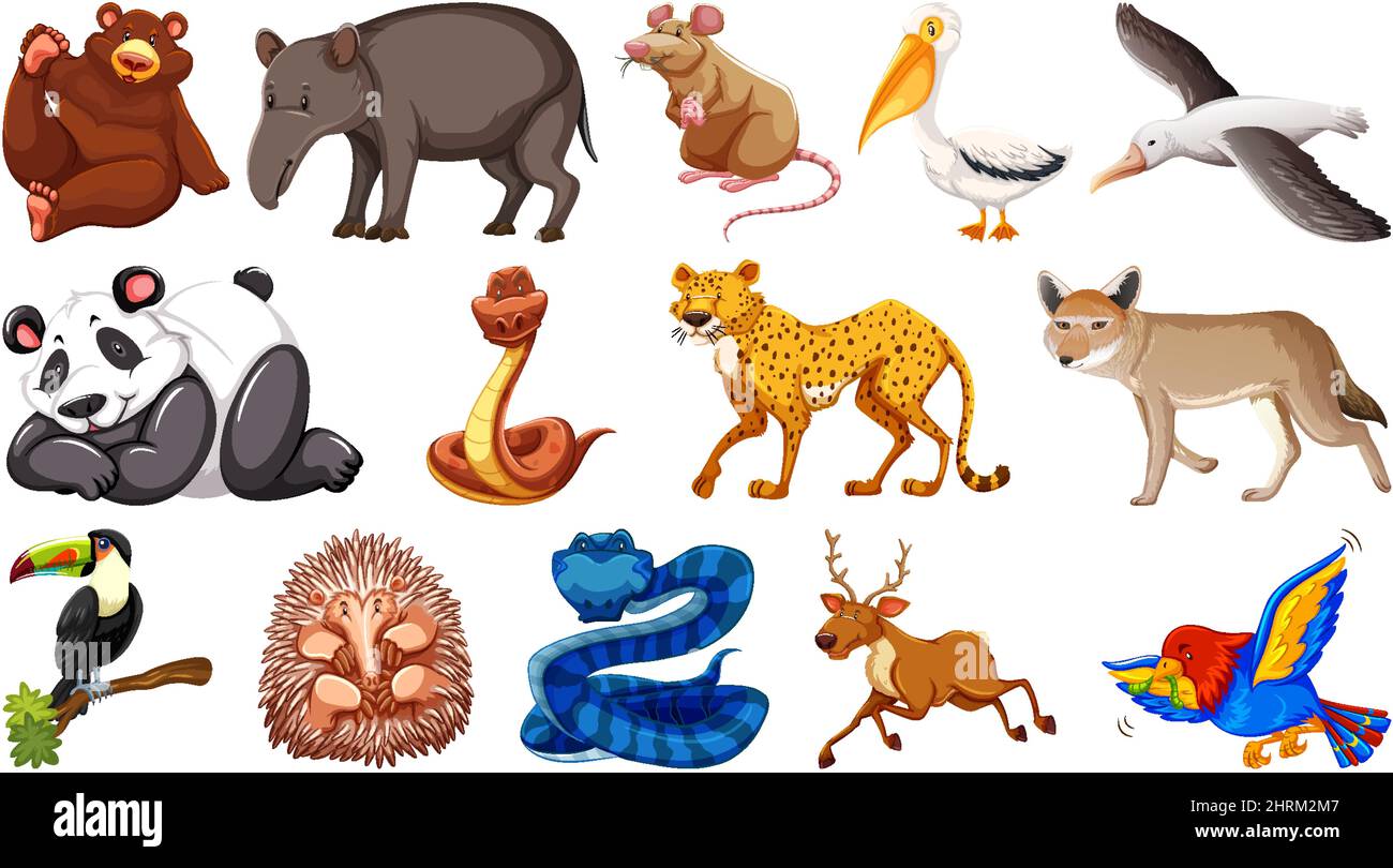 Satz von verschiedenen wilden Tieren Cartoon-Figuren Illustration Stock Vektor