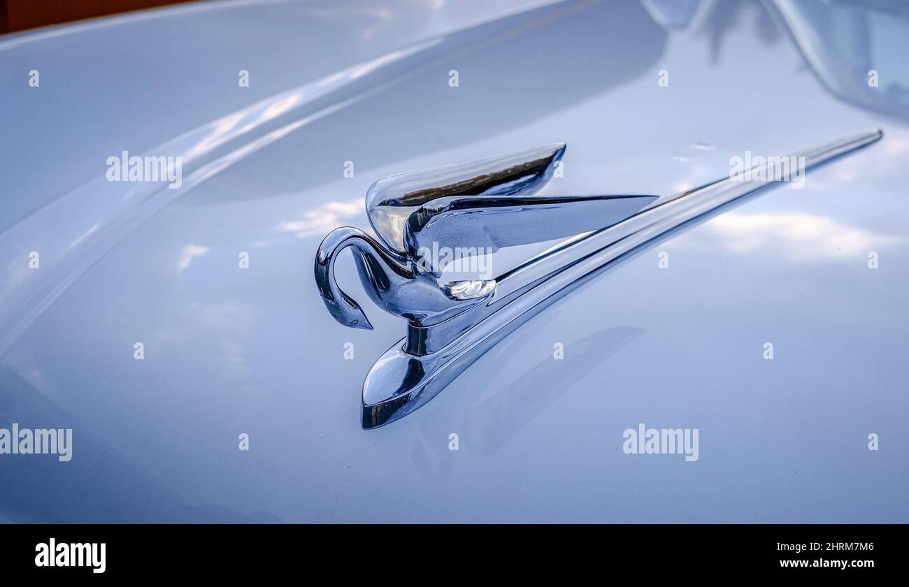 Kapuzenschmuck auf Old Packard Stockfoto