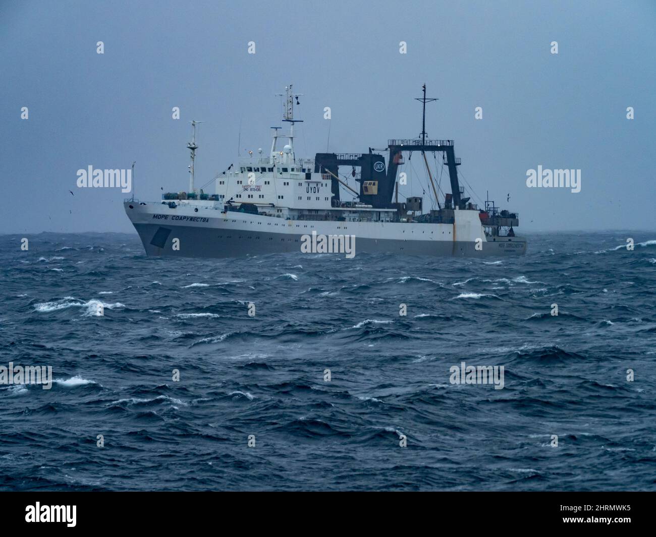 Ein Krill-Fischerboot, das Krill vor den südlichen Orkney-Inseln in der Antarktis fängt Stockfoto