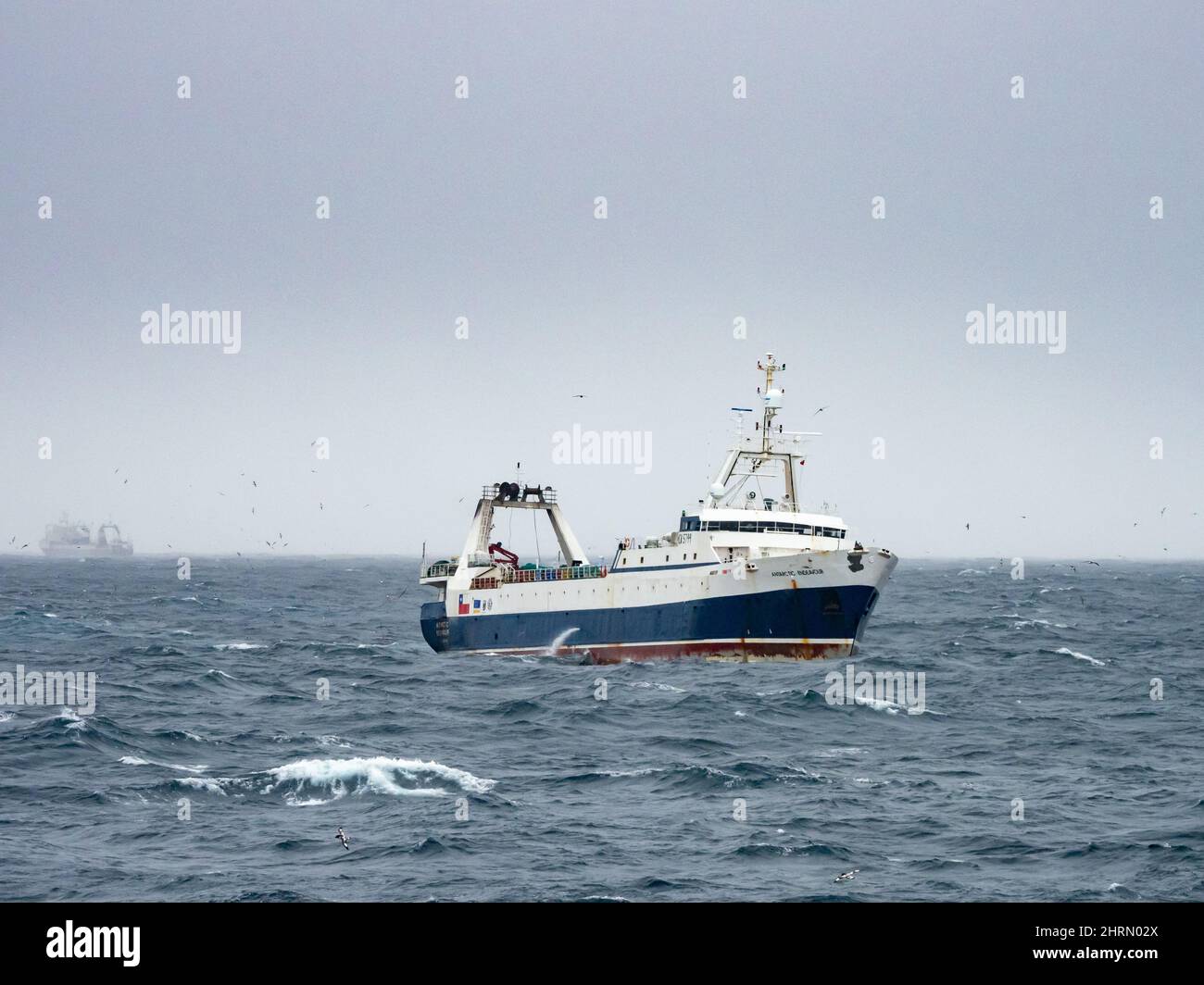 Ein Krill-Fischerboot, das Krill vor den südlichen Orkney-Inseln in der Antarktis fängt Stockfoto