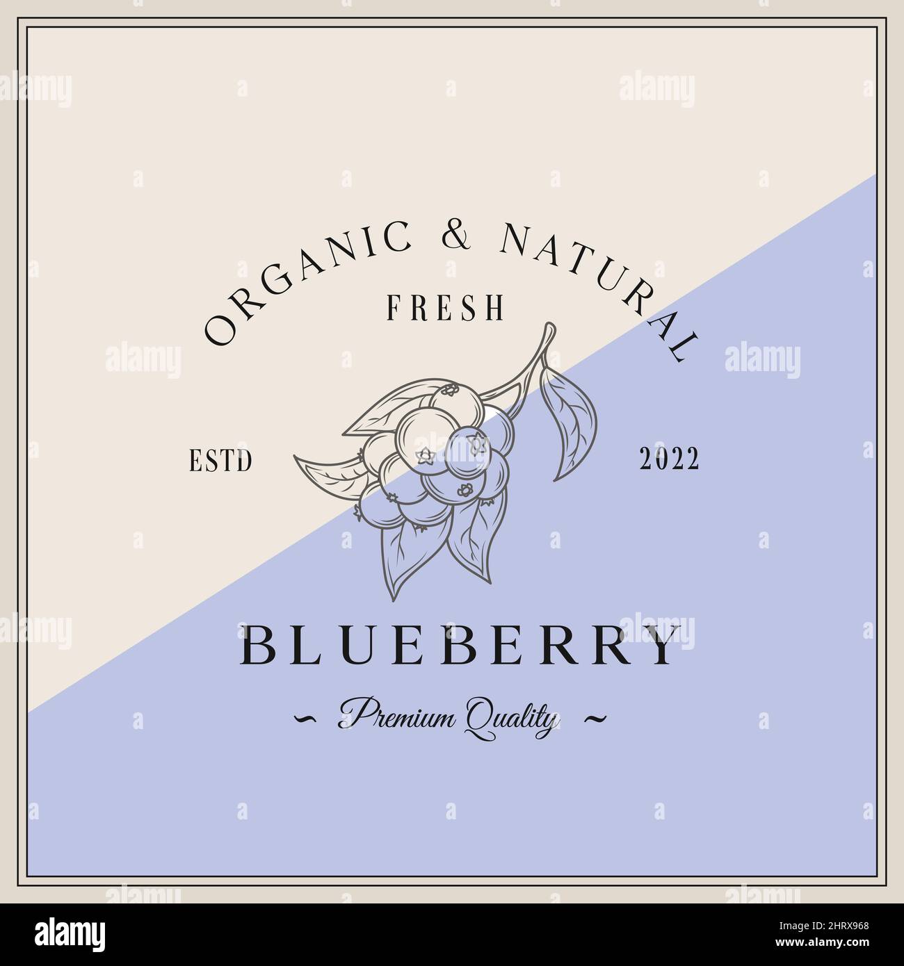 Blueberry Abstract Vector Sign, Symbol oder Logo Template. Handgezeichnete Blueberry Sketch Silhouette mit eleganter Retro Typografie. Klassisches Luxus-Emblem Stock Vektor
