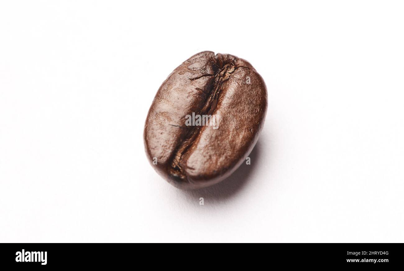 Hallo Kaffee. Studioaufnahme einer Kaffeebohne vor weißem Hintergrund. Stockfoto