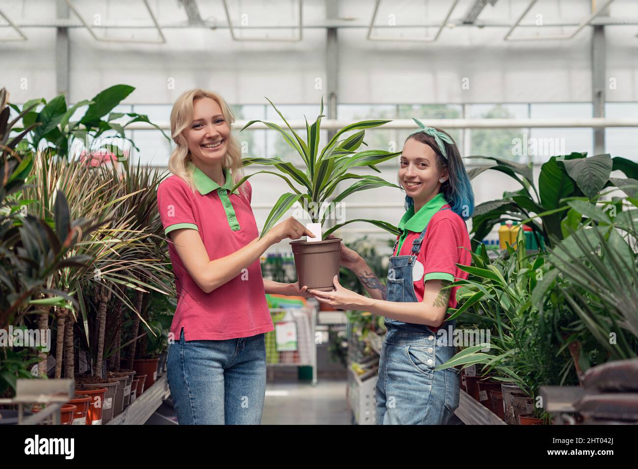 Zwei junge Frauen, die im Gartencenter arbeiten und Blumen arrangieren Stockfoto