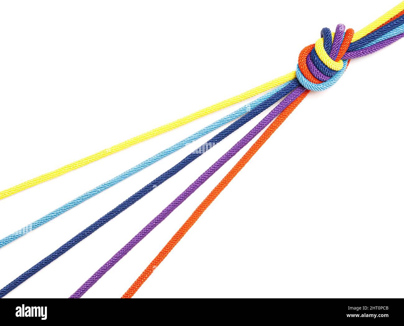 Fünf mehrfarbige Kordeln laufen in einem Knoten zusammen, der auf weißem Hintergrund isoliert ist. Kreatives Drehkreuz-Konzept. Stockfoto