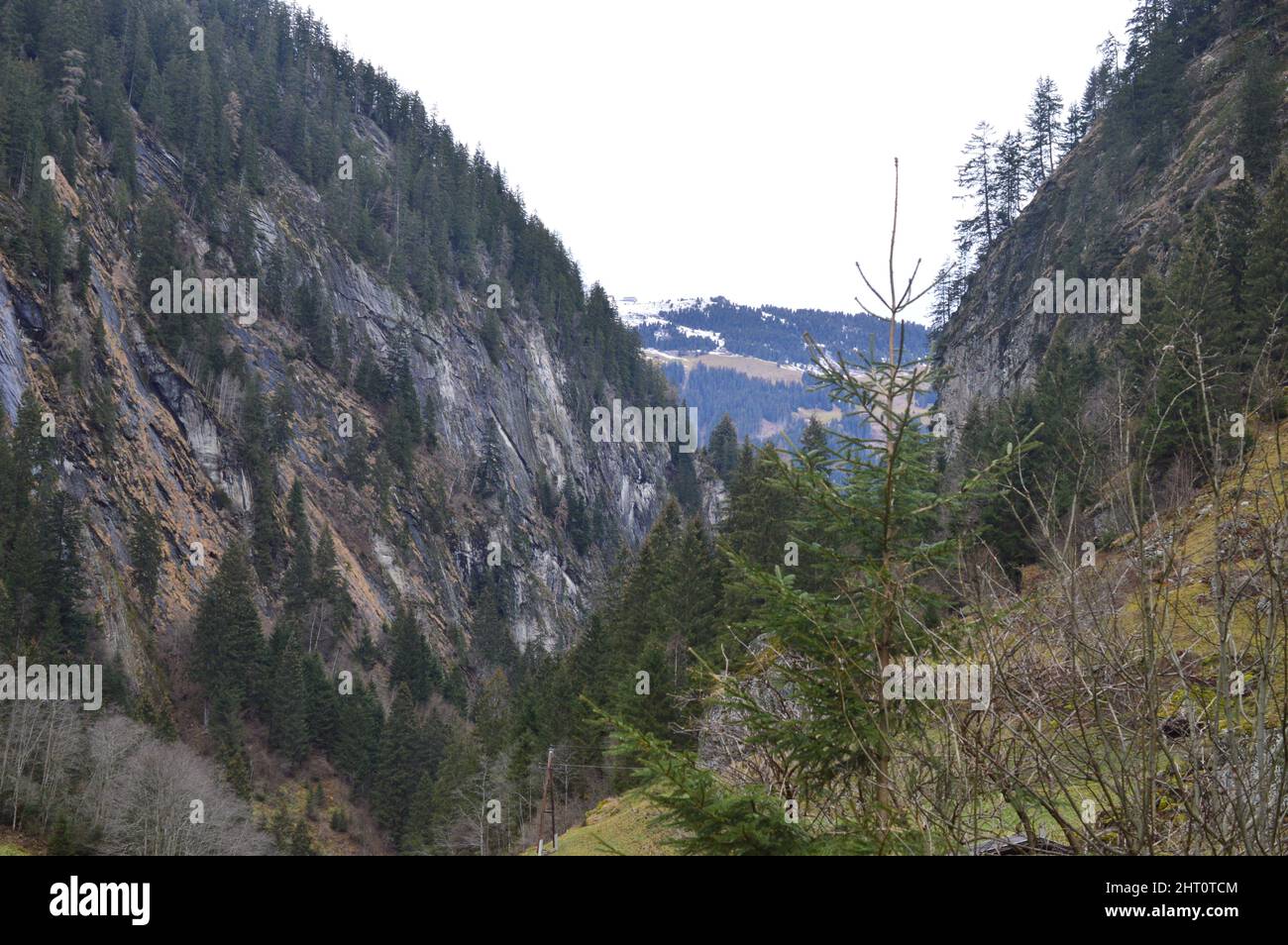 Stilluptal Stockfoto