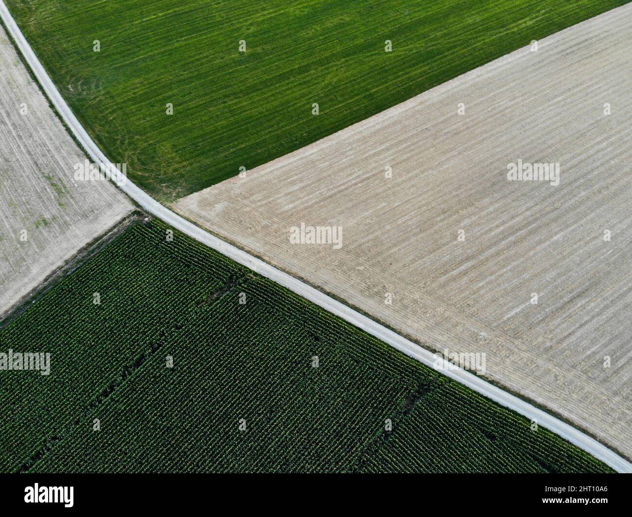 Luftaufnahme der Weizenfelder Stockfoto