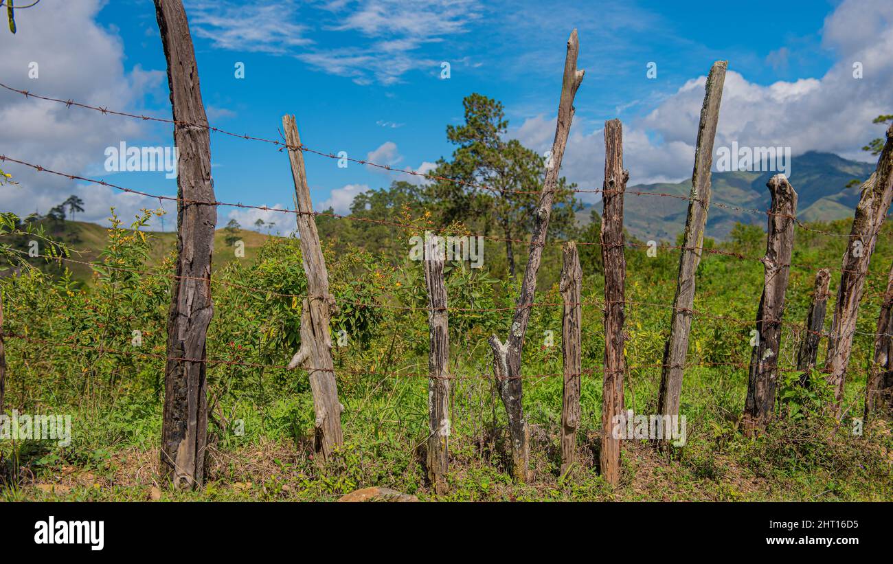Landwirtschaftsgebiet in San Juan de la Maguana, Dominikanische Republik Stockfoto