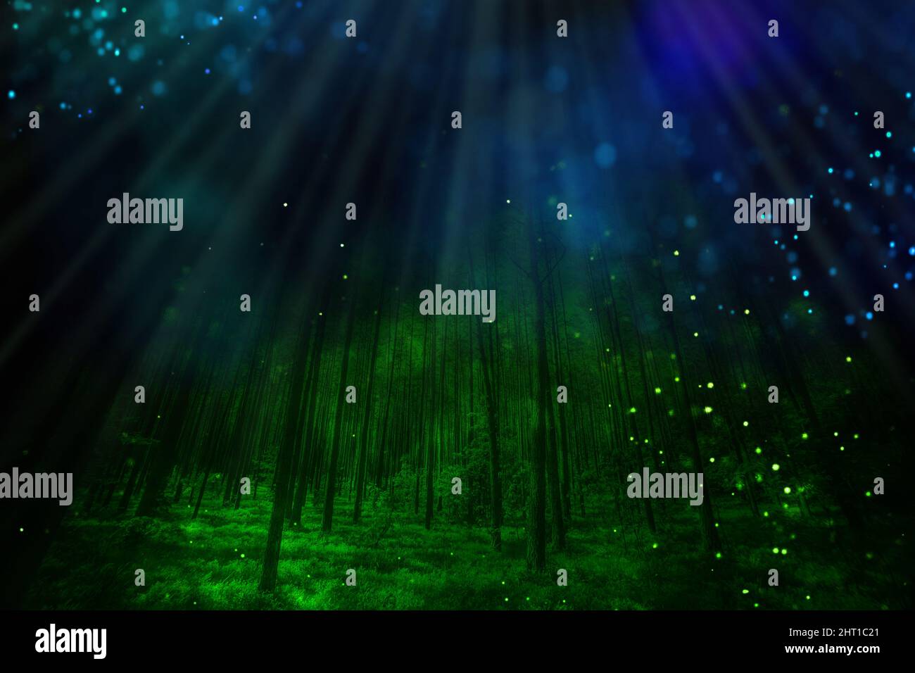 Dunkler Mysterienwald mit grünem und blauem Licht Stockfoto