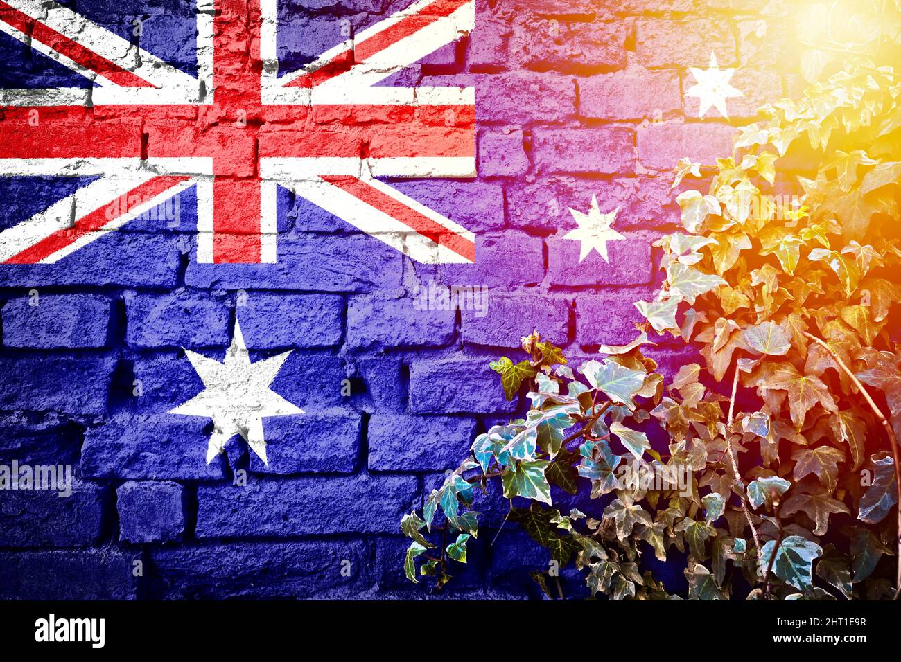 Australien Grunge-Flagge auf Ziegelmauer mit Efeupflanze Sonne Dunst Ansicht, Land Symbol Konzept Stockfoto