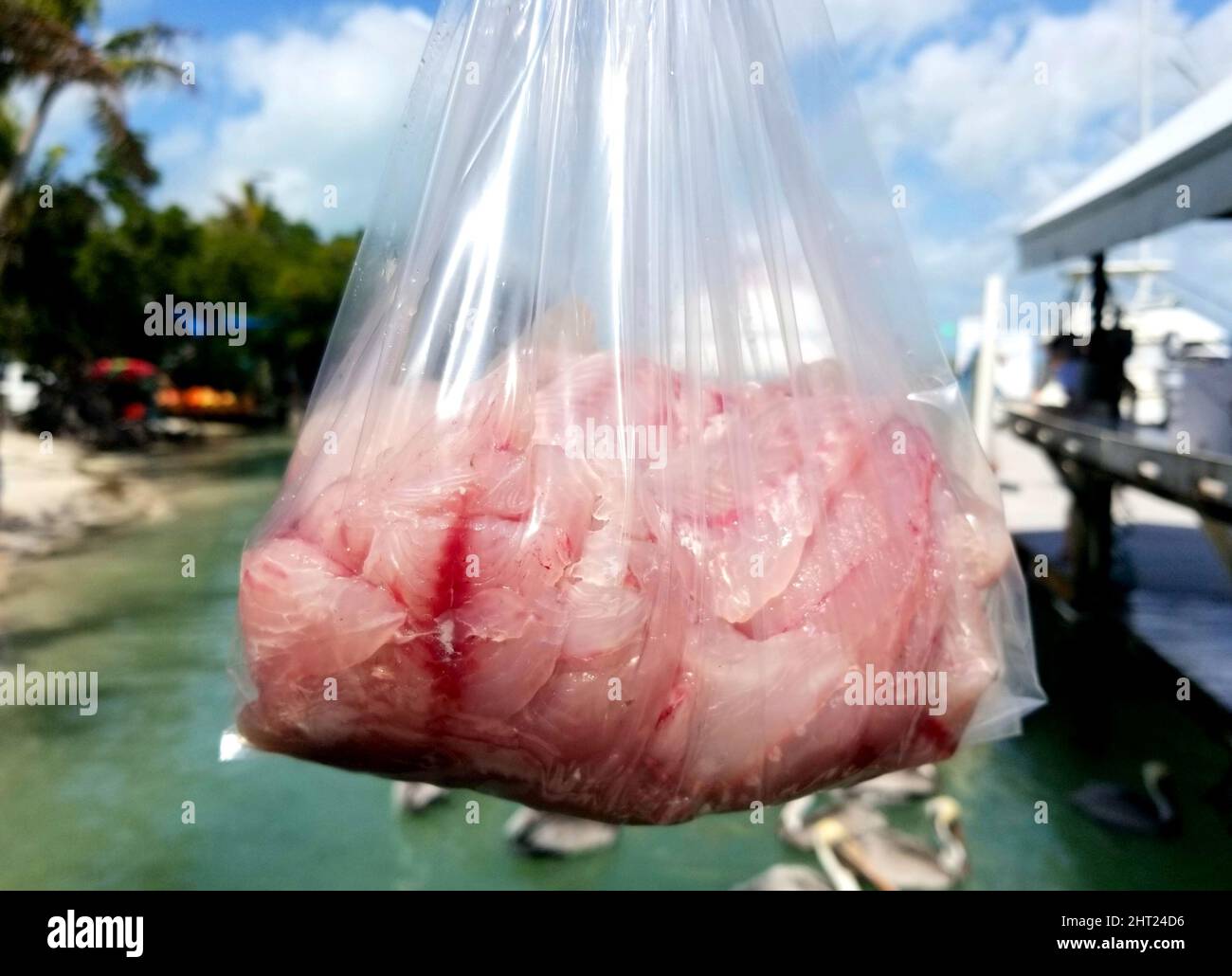 Filetfisch in einem durchsichtigen Plastikbeutel Stockfoto