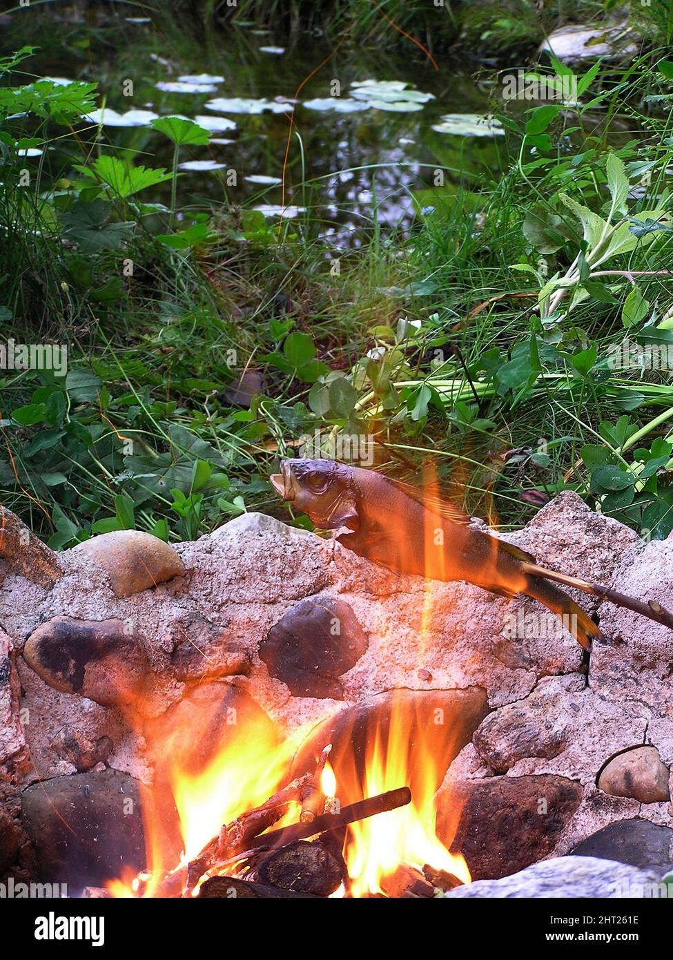 Grillen Sie über einem offenen Feuer Stockfoto