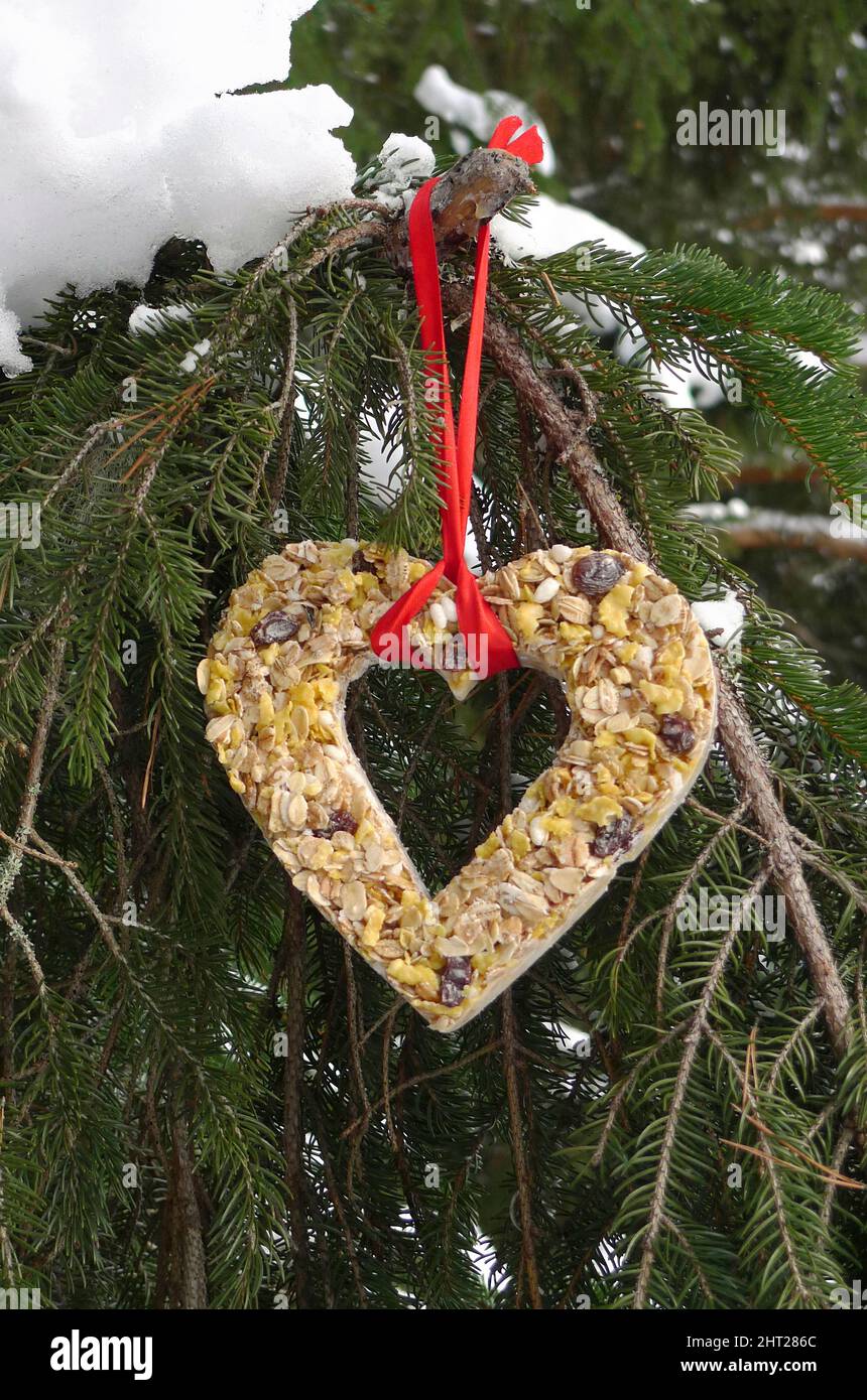 Herz mit Vogelschmankerl Stockfoto