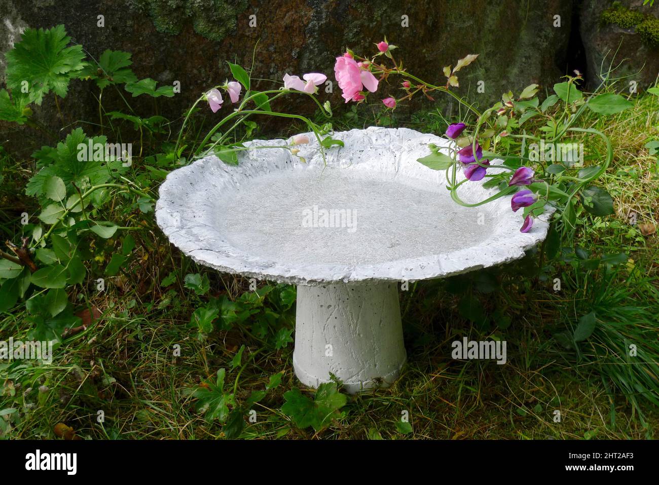 Vogelbad aus feinem Beton Stockfoto