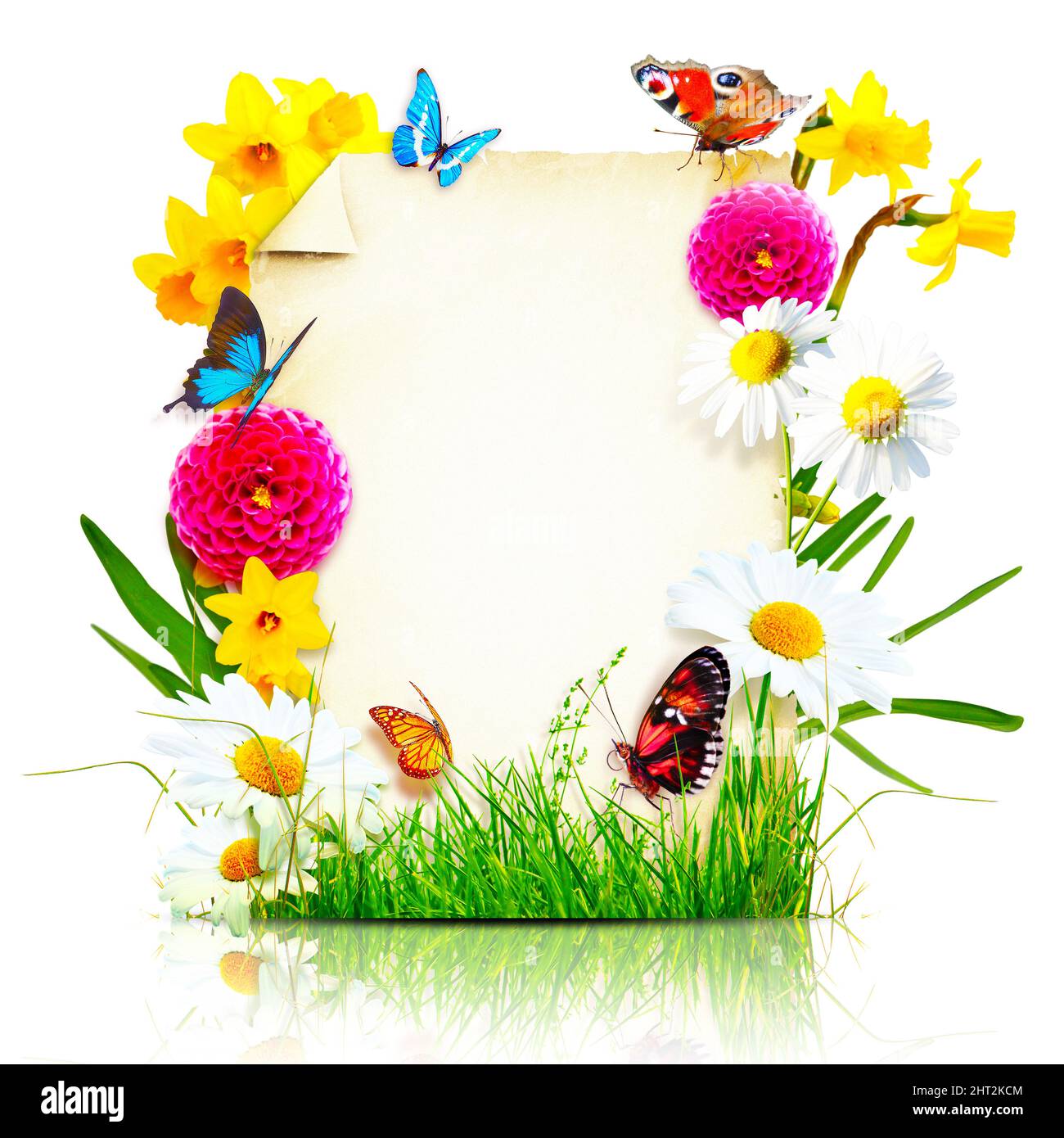 Kreatives Layout mit Blumen und Schmetterlingen. Minimalkonzept für den Frühling. Stockfoto