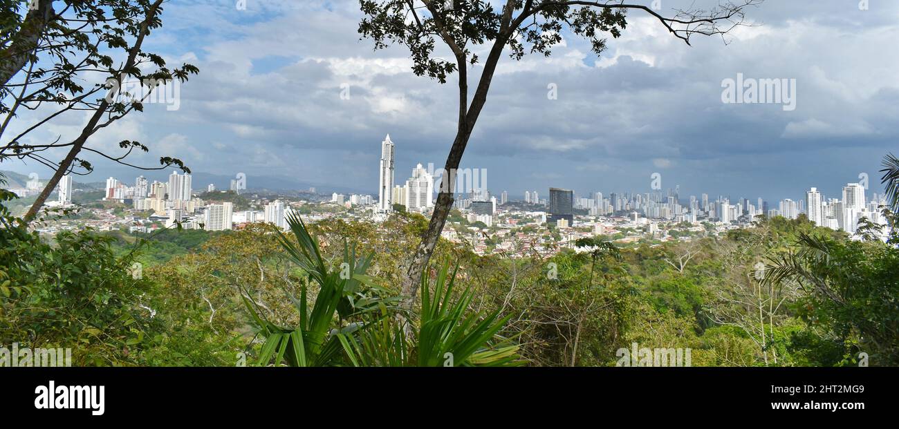 Panama City, Blick vom Metropolitan Natural Park, Dschungel in der Stadt. Stockfoto