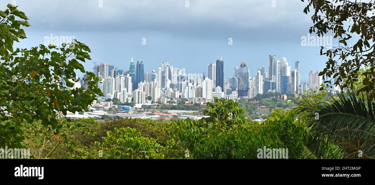 Panama City, Blick vom Metropolitan Natural Park, Dschungel in der Stadt. Stockfoto