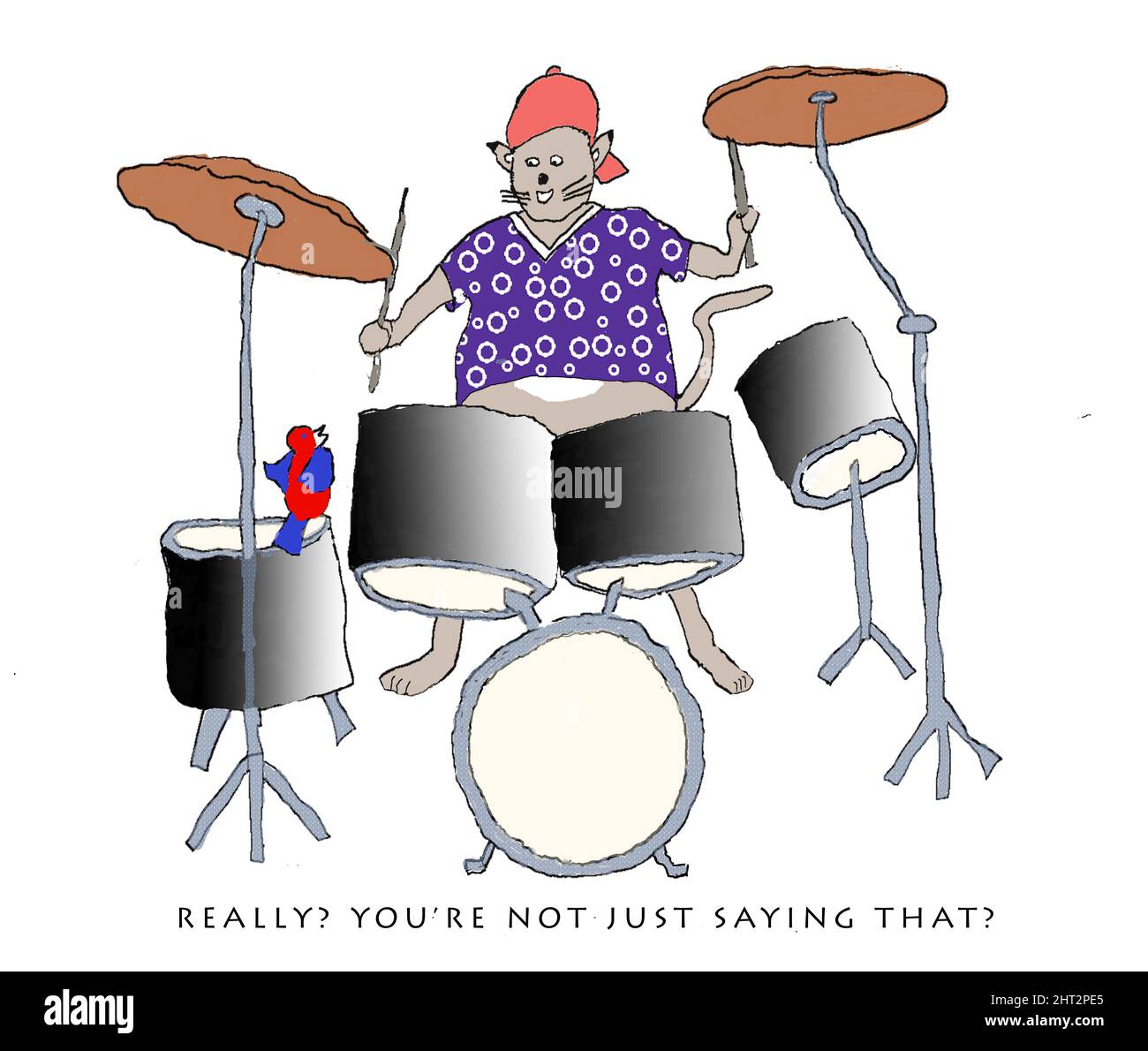 Cartoon Katze spielt Schlagzeug Stockfoto