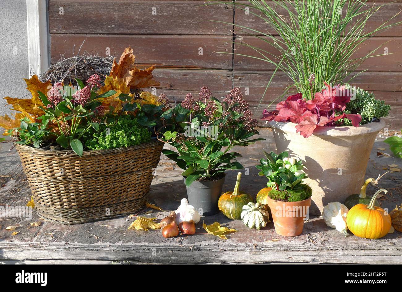 Herbst arrangement Stockfoto