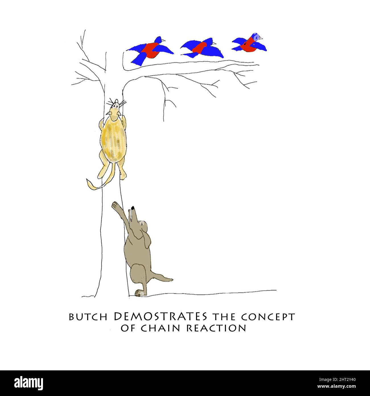 Karikatur zu Katzen und Vögeln Stockfoto