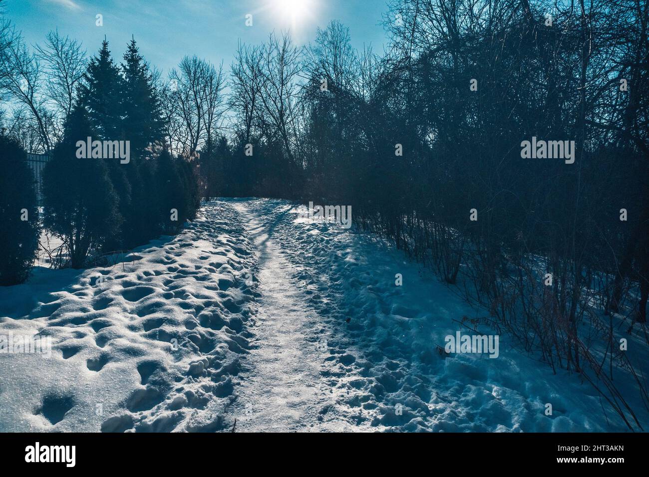 Am Morgen bei Sonnenschein und Frost konnten die Menschen einen Weg durch den Neuschnee gehen, der in der Nacht fiel Stockfoto