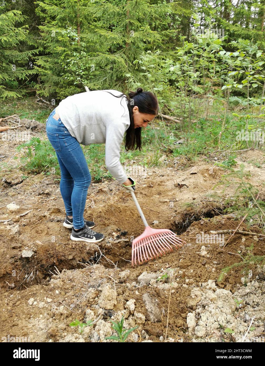 Frau, die im Garten ruckend Stockfoto