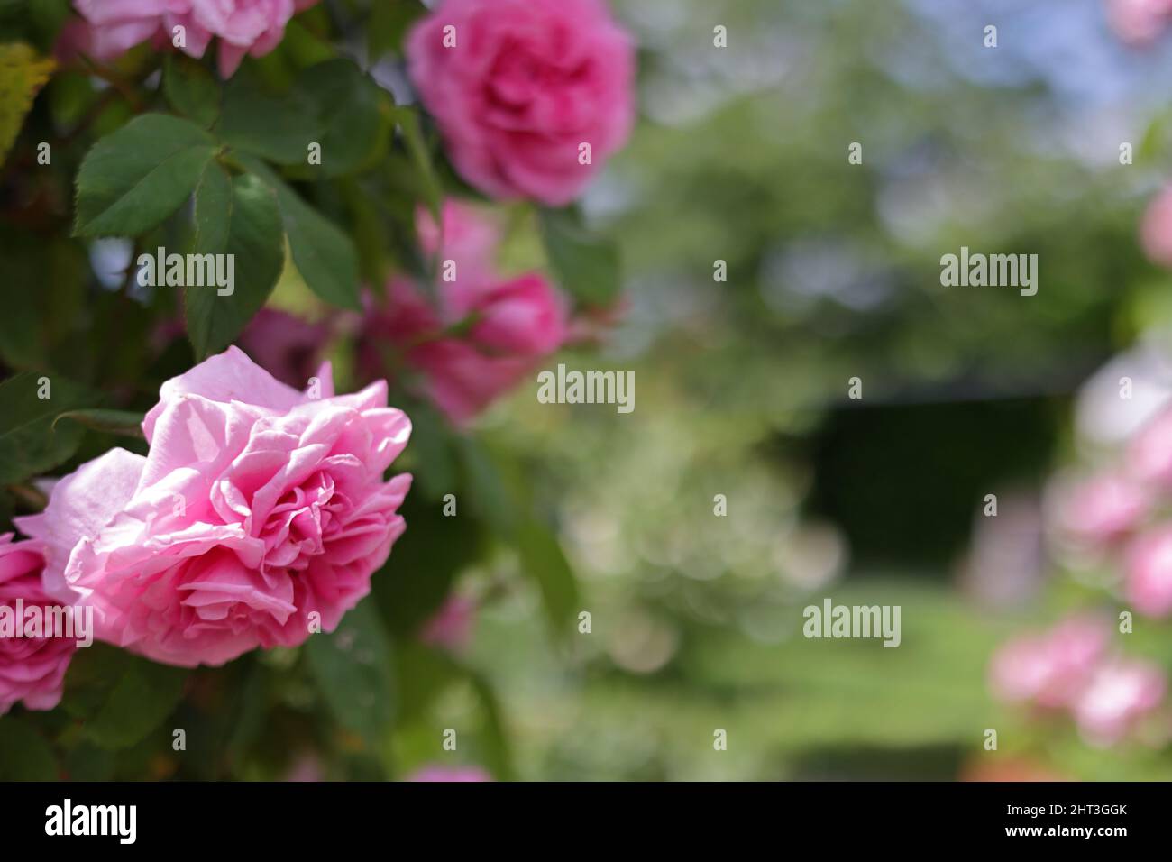 Wightwick Manor and Gardens Attraction in Wolverhampton Stockfoto