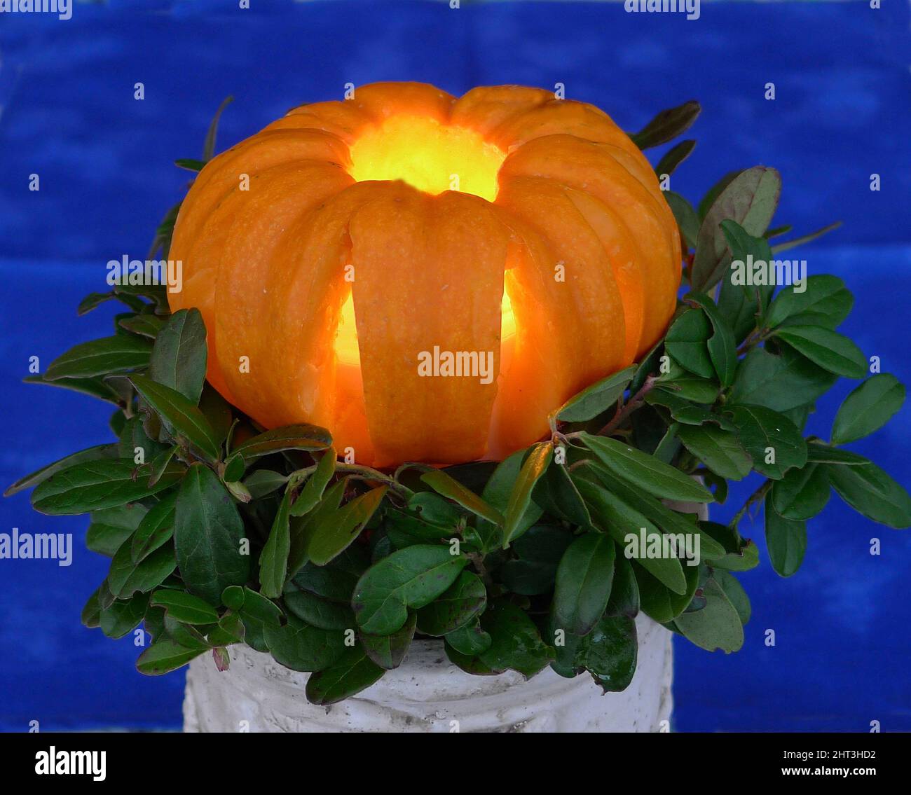 Pumkin-Laterne Stockfoto