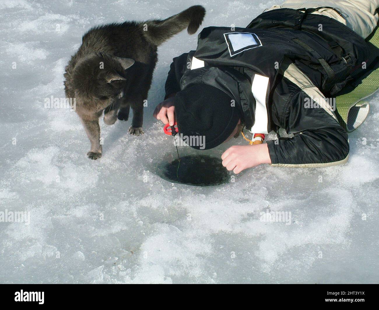 Ein Junge, der auf Eis fischt und eine Katze, die erwartungsvoll aussieht Stockfoto