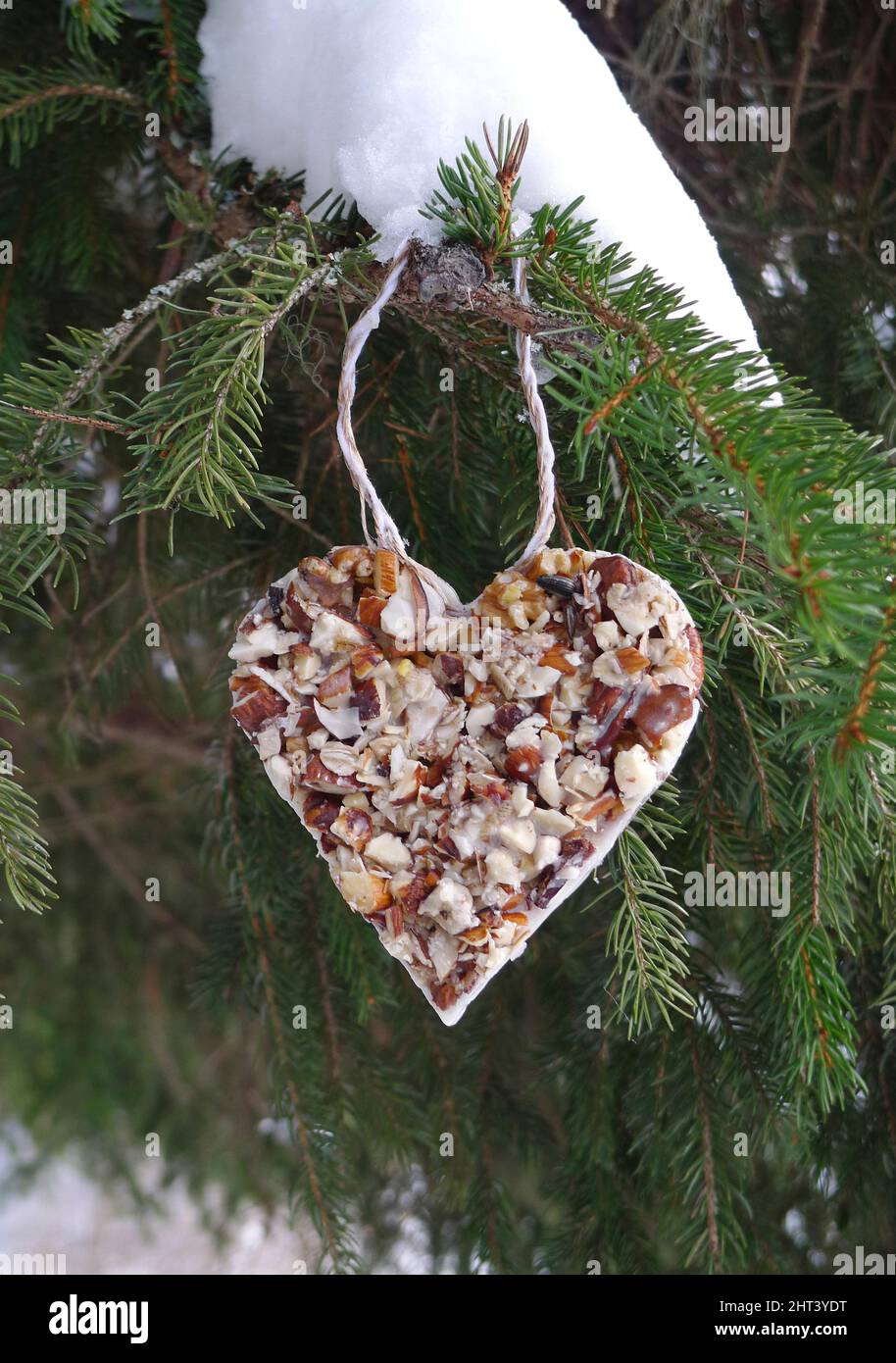 Herz mit Vogelfutter aus gehackten Nüssen Stockfoto