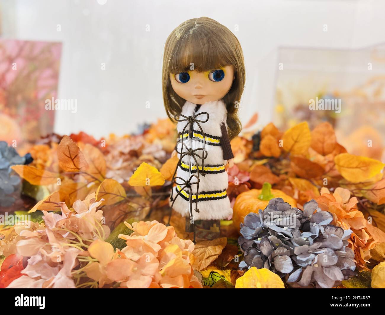 Nahaufnahme einer schönen Puppe auf dem Herbstlaub Hintergrund Stockfoto